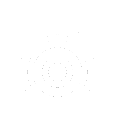 Videolaryngostroboskopia